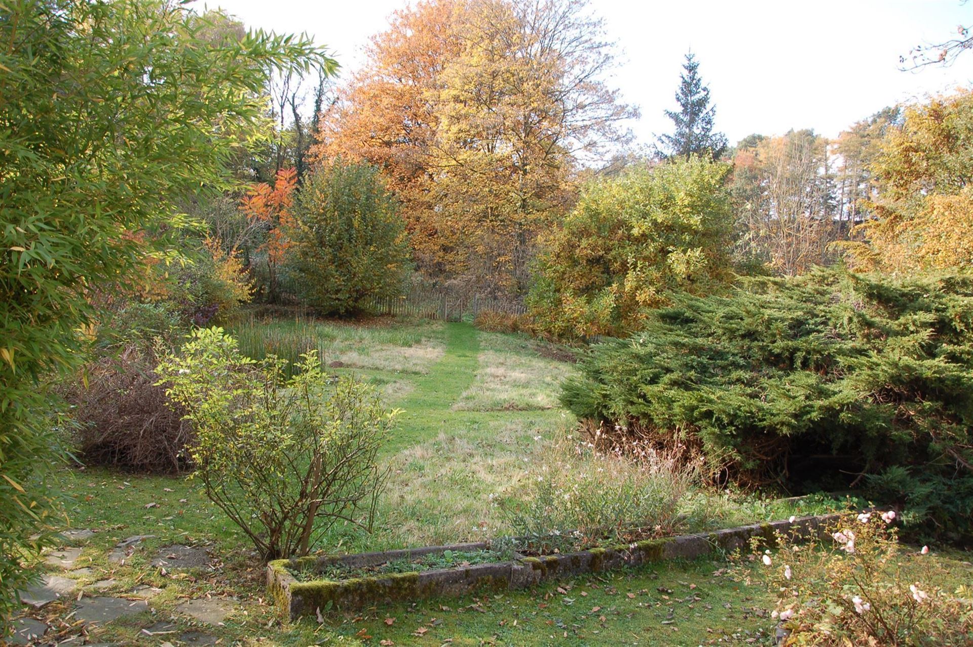 7322_103269.jpg