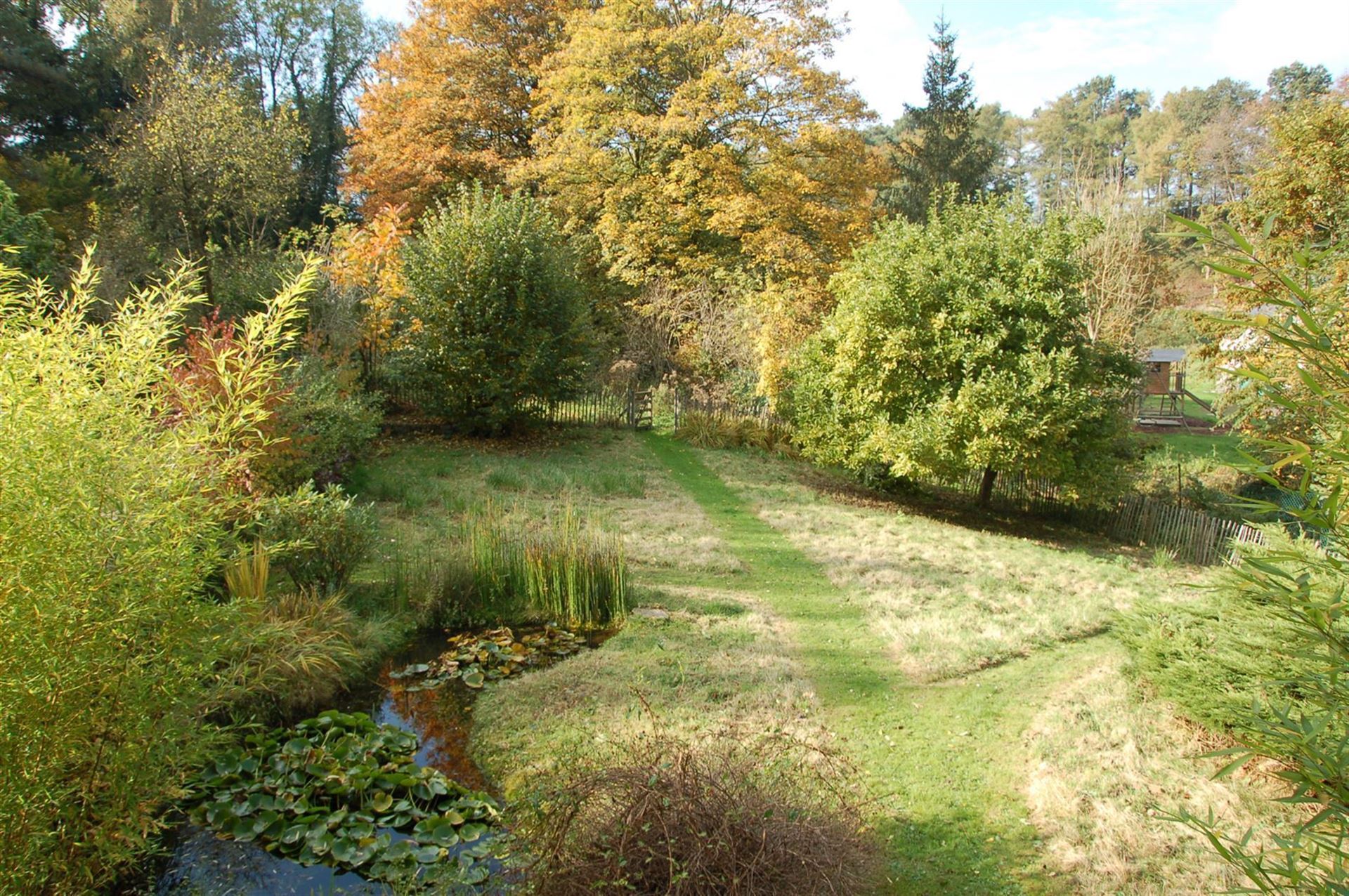 7322_103271.jpg