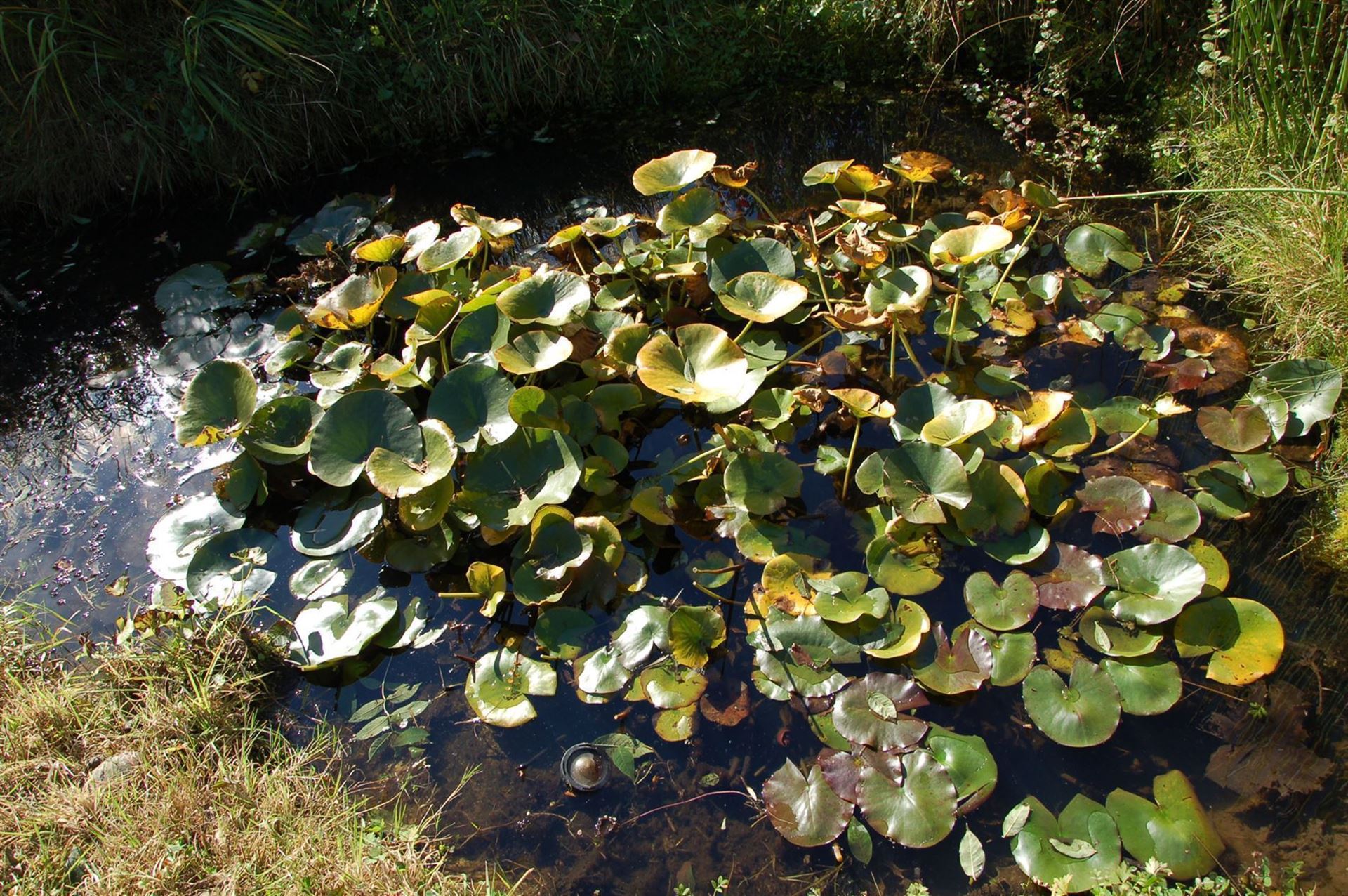 7322_103272.jpg