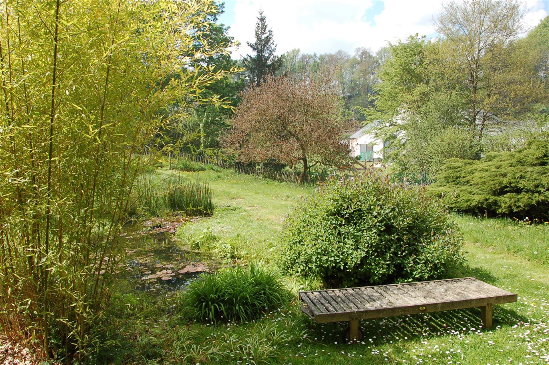 7322_103296.jpg