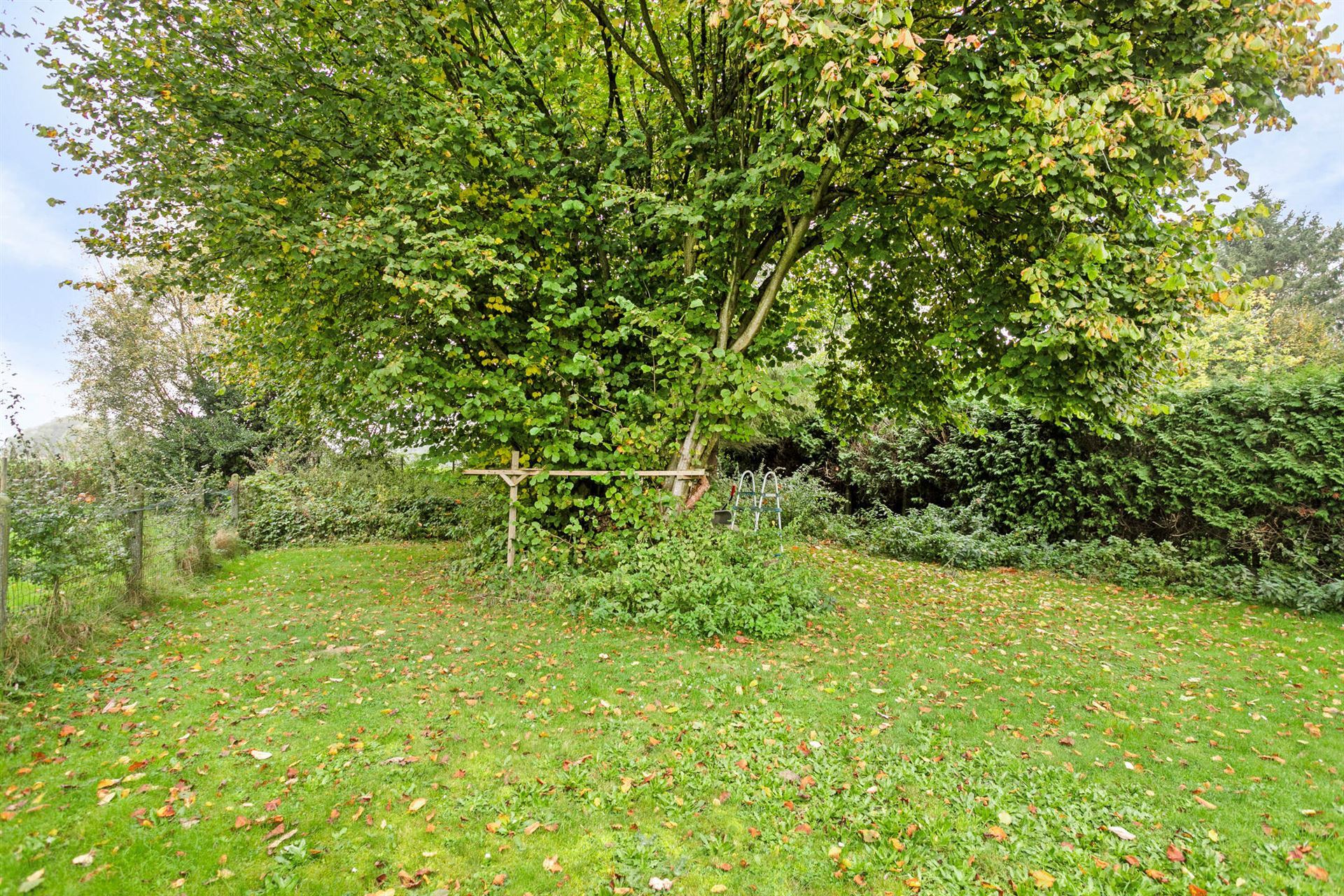 9549_142684.jpg