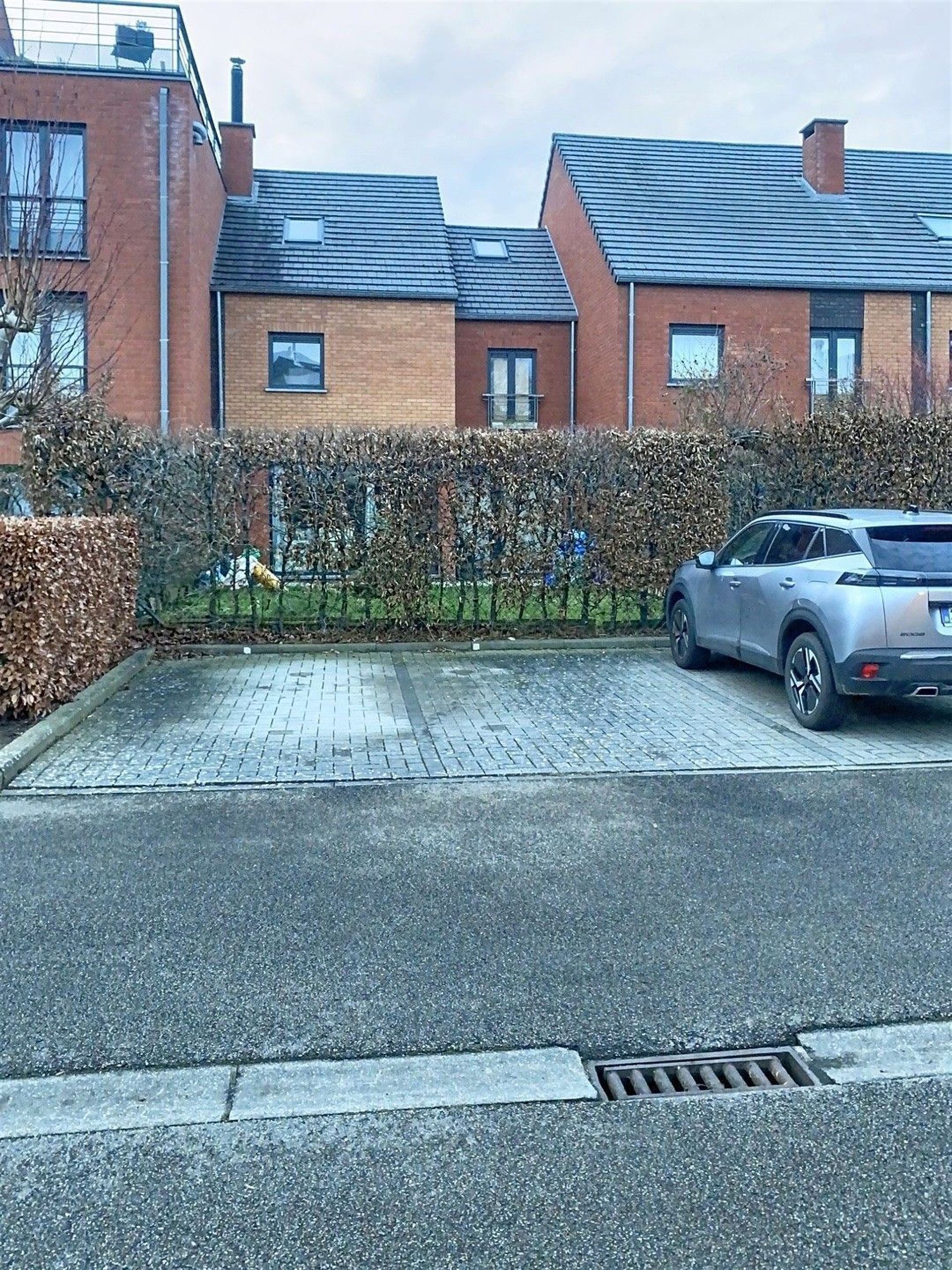 9875_147770.jpg