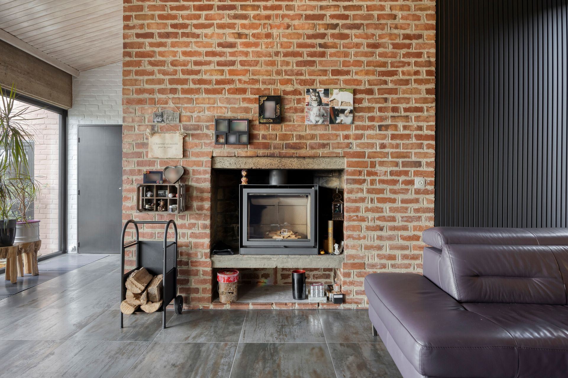 9964_149742.jpg